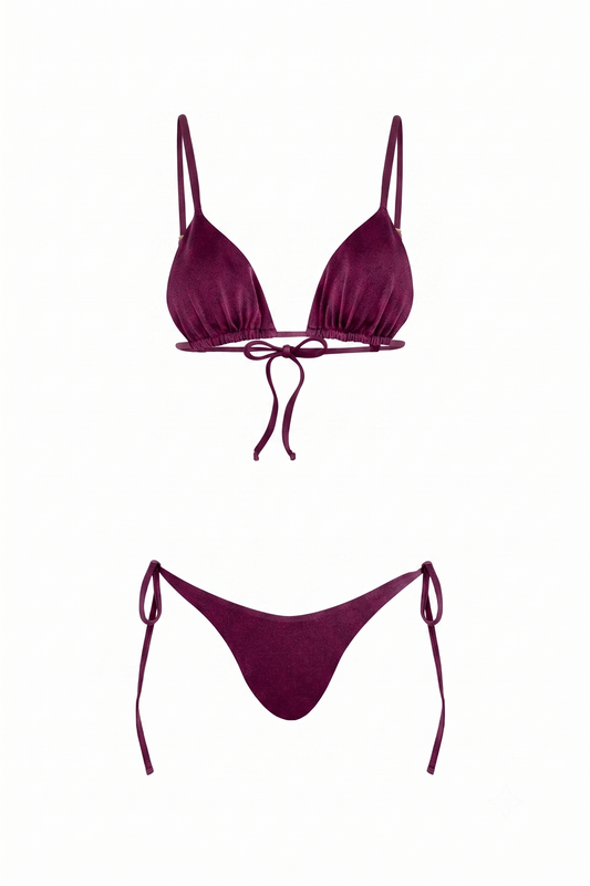 Panty de Bikini Berenjena
